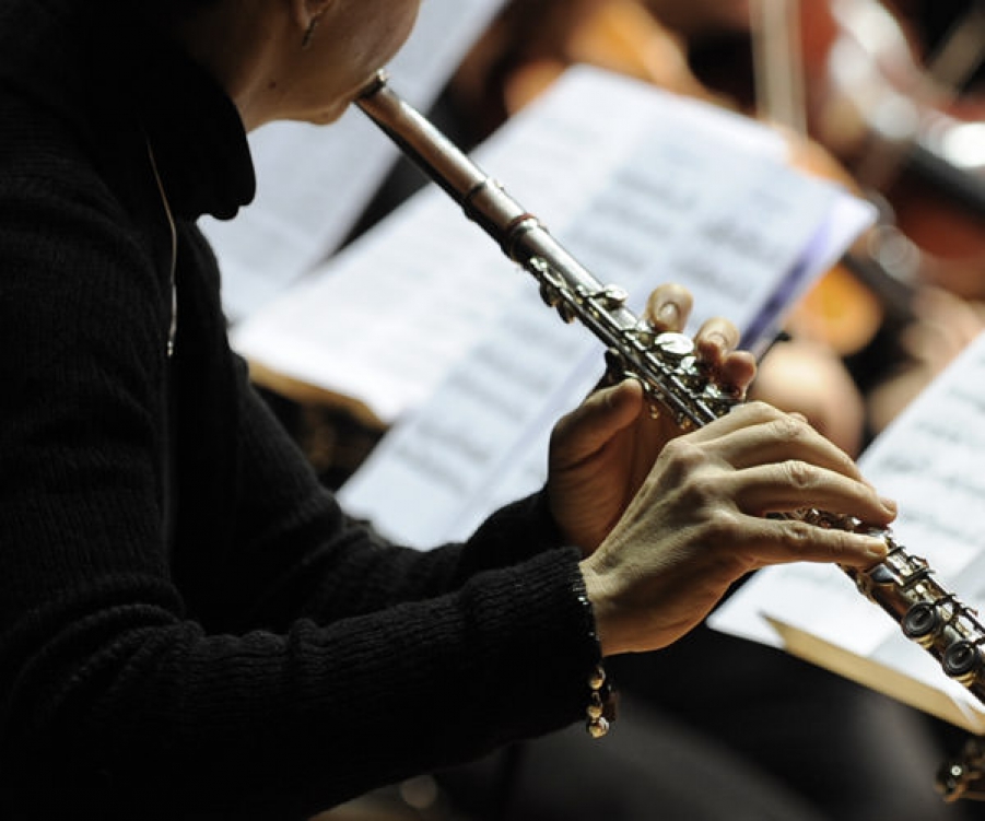 Maecenas rutrum  cursus