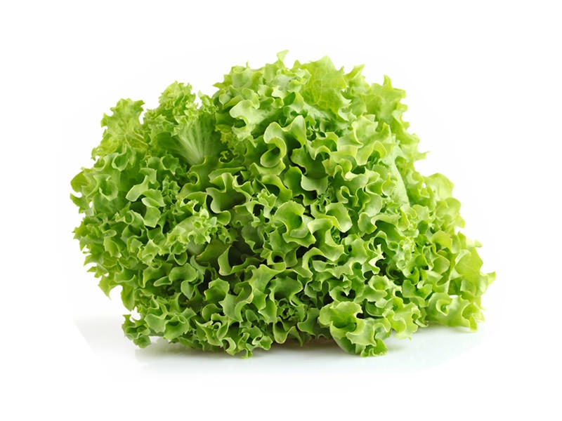 Seed Solutions